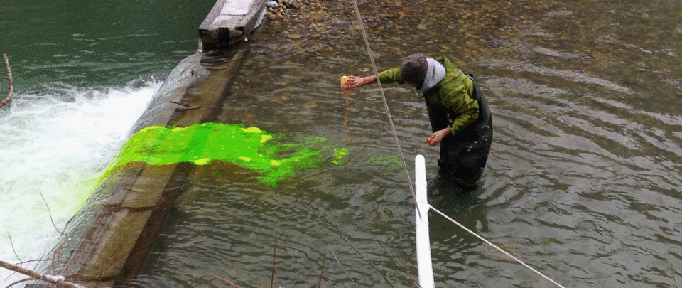 Neongrüner Tracer wird in Fluss geschüttet