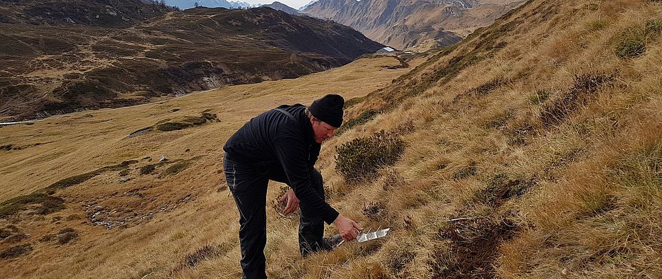 forscher untersucht grashang in den alpen