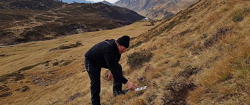 researcher examines grass slope in the alps